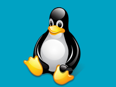 虚拟主机选择什么系统比较好？Linux和Windows系统选择哪个？