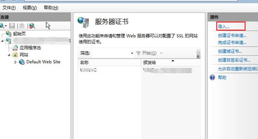 常规网站Web环境配置SSL证书 - Nginx、Apache、IIS - 第2张