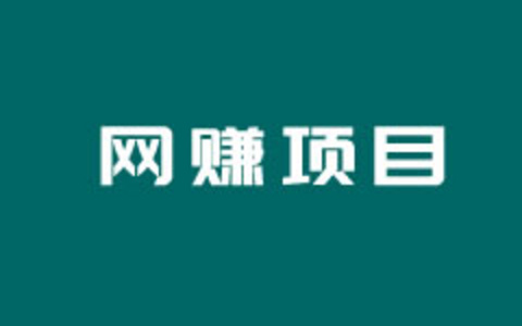 垂直型网站建设项目案例分析 - 教育细分行业用户多多