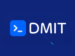 DMIT 补货 香港CN2 GIA Pro 套餐方案 300M带宽 年付$298