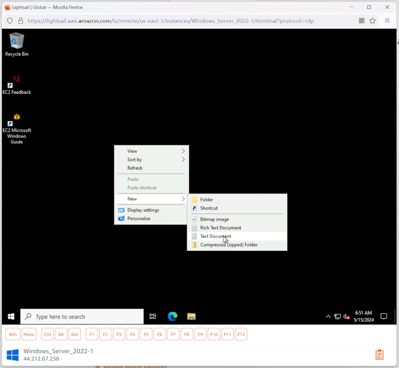 记录利用免费亚马逊云Lightsail虚拟服务器开通Windows桌面 - 第8张