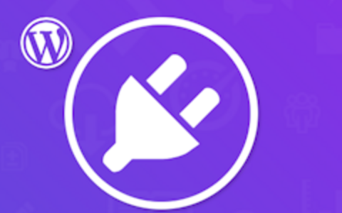 WordPress主题开发安装Codestar Framework框架的过程