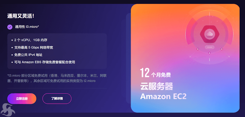 最新亚马逊云国外免费试用VPS申请攻略 12个月云服务器和轻量服务器 - 第3张