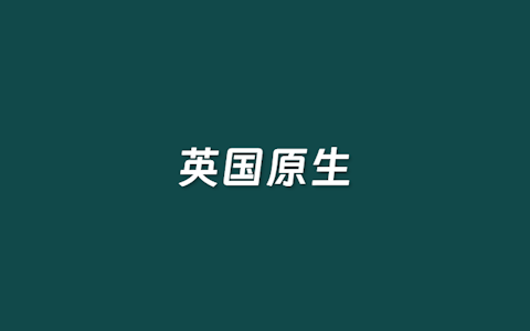 丽萨主机英国原生IP VPS推荐 大陆三网优化线路 全新纯原生IP