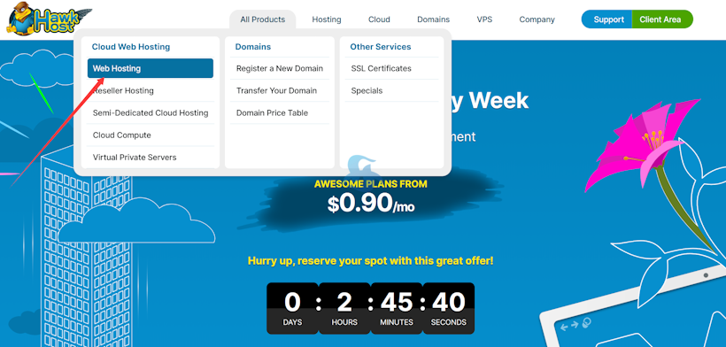 HawkHost 老鹰主机独立IP外贸虚拟主机选择及优惠券使用攻略