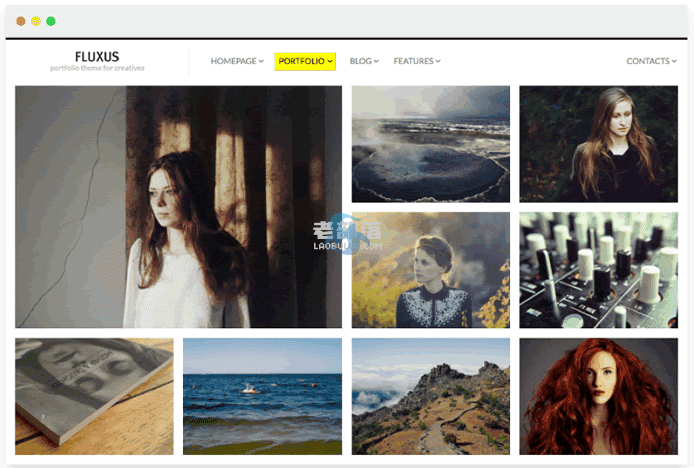摄影师与设计师首选：7款高质量WordPress图片主题推荐