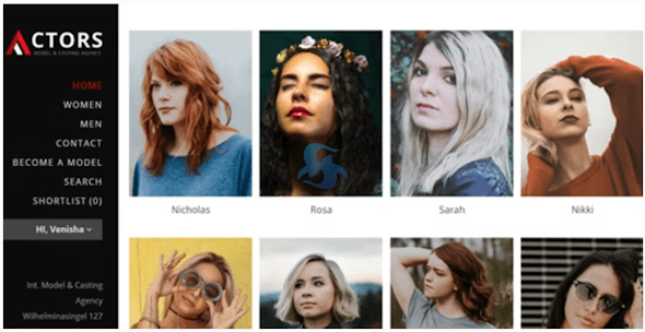WordPress外贸建站 这5款支持多语言及跨境支付的CMS主题推荐