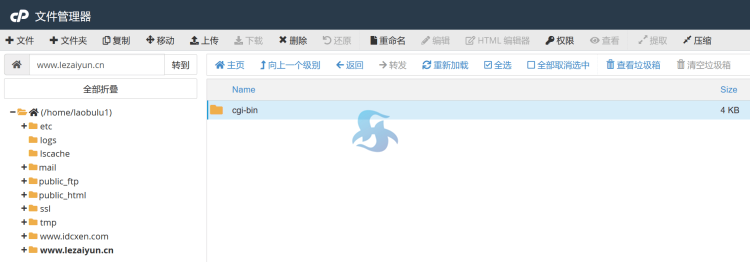 一篇搞定！cPanel 面板创建站点和数据库完整教程