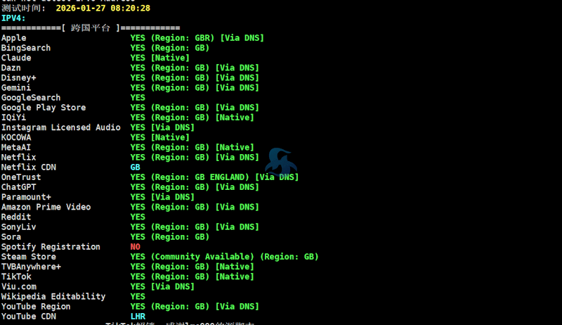 实测荫云服务商英国原生IP双ISP网络VPS性能体验