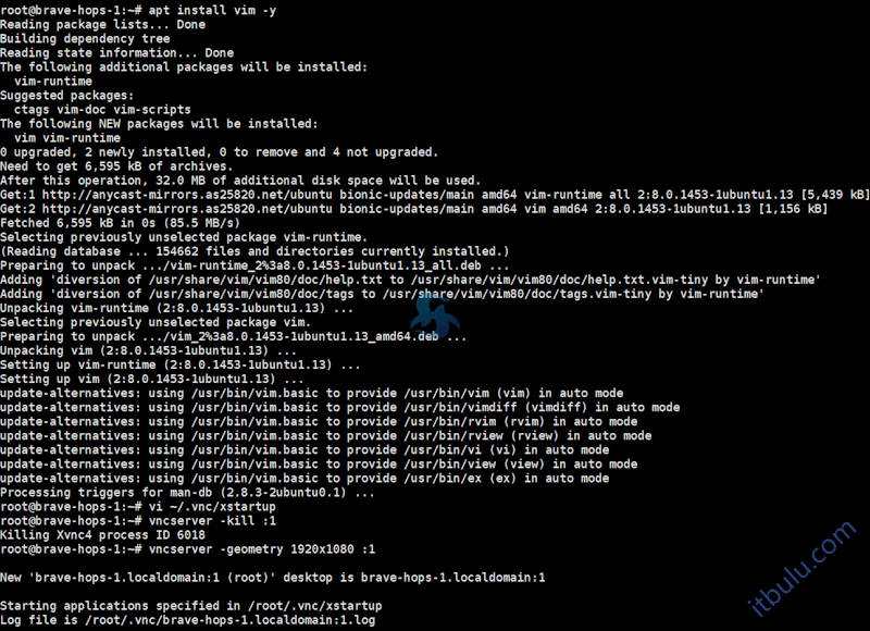 搬瓦工VPS搭建轻便可视化VNC界面演示过程 一样可以打开浏览器