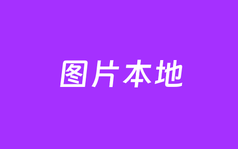 leimglocal 自动复制外部图片实现WordPress编辑器图片本地化