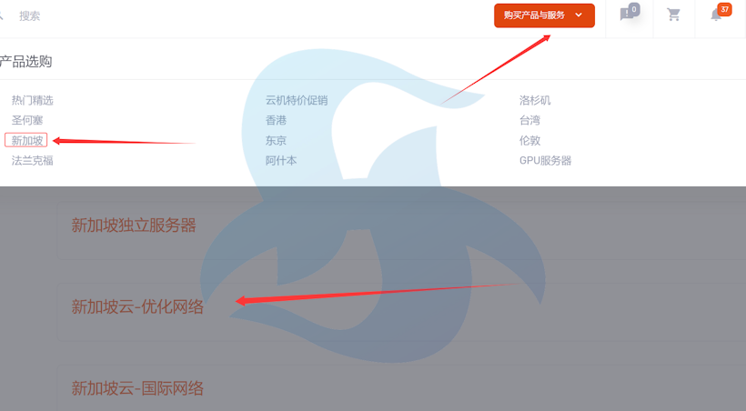 LightLayer新加坡CN2优化网络新增新加坡原生IP方案可选