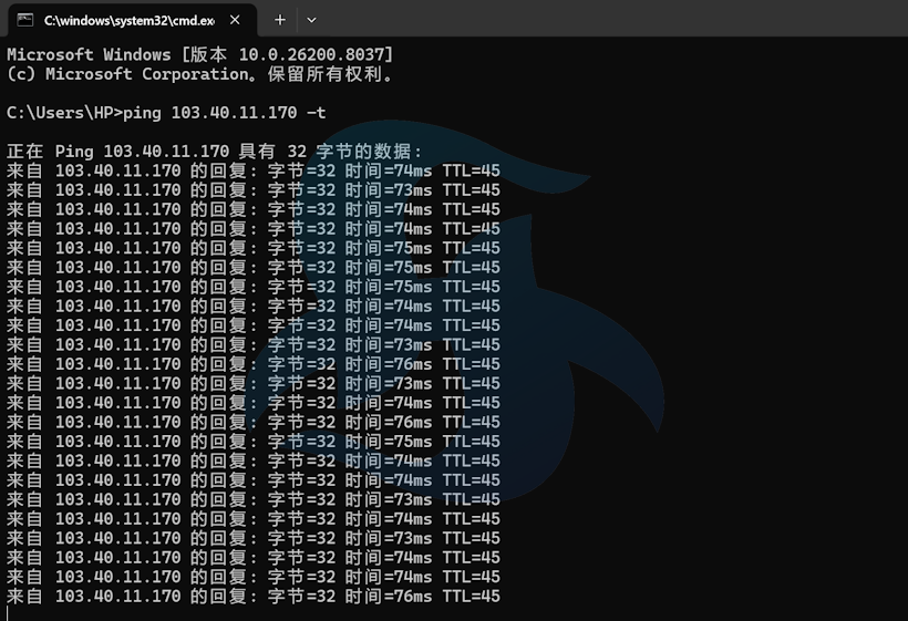LightLayer新加坡CN2优化网络新增新加坡原生IP方案可选