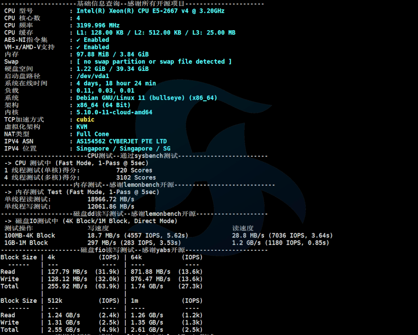 丽萨主机新加坡原生IP推荐 大带宽BGP国际网络 IP地址干净 解锁优秀