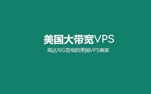 2026 几个美国大带宽VPS可选方案 可选优化线路 10G带宽